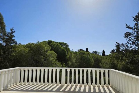 6 bedrooms House in Larnaca, Cyprus No. 62838 11