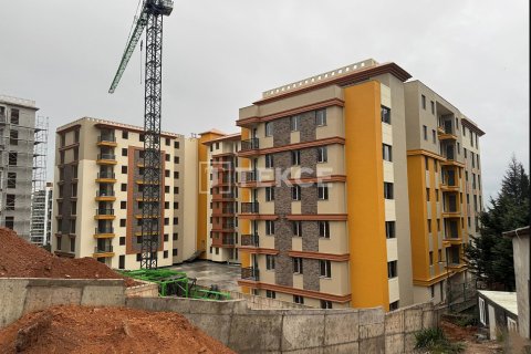 3 bedrooms Apartment in Binh Khanh Dong, Vietnam No. 80215 21