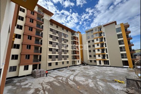 3 bedrooms Apartment in Binh Khanh Dong, Vietnam No. 80215 20