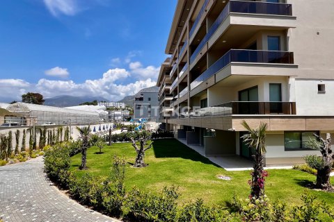 2 bedrooms Apartment in Chau Lang, Vietnam No. 88935 3