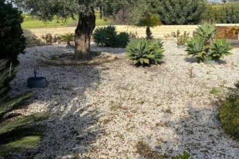 5 chambres House à Anarita, Cyprus No. 29708 2