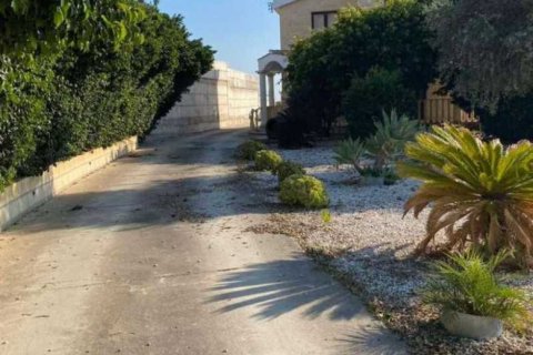 5 chambres House à Anarita, Cyprus No. 29708 10