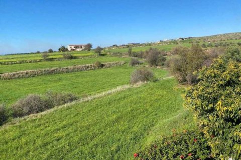 5 chambres House à Anarita, Cyprus No. 29708 1