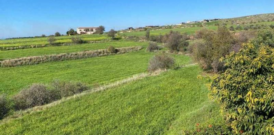 5 chambres House à Anarita, Cyprus No. 29708