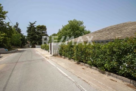 Дом с 8 спальнями в Магнисия, Греция №28002 4