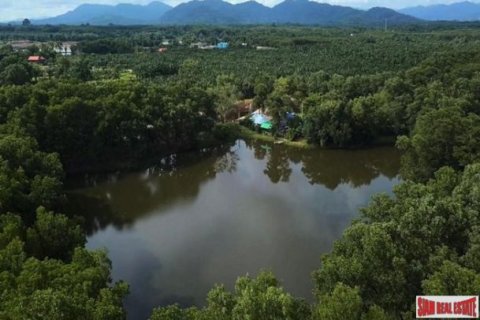 48000m² Land à Phang Nga, Thailand No. 96411 3