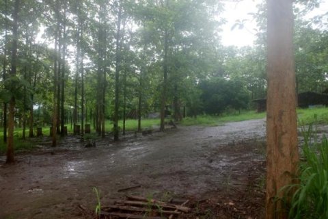 Land in Chiang Mai, Thailand No. 97632 4