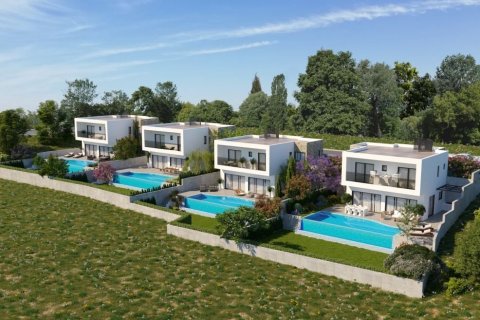 Дом с 4 спальнями в Пейя, Кипр №37164 3