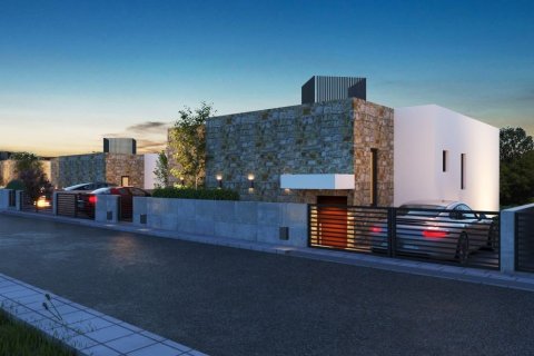 Дом с 4 спальнями в Пейя, Кипр №37164 4