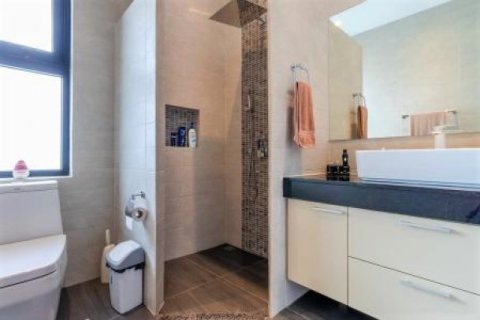 3 bedrooms Villa in Hua Hin, Thailand No. 95874 28