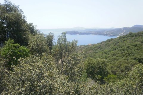 6070m² Land in Chalkidiki, Greece No. 56347 7