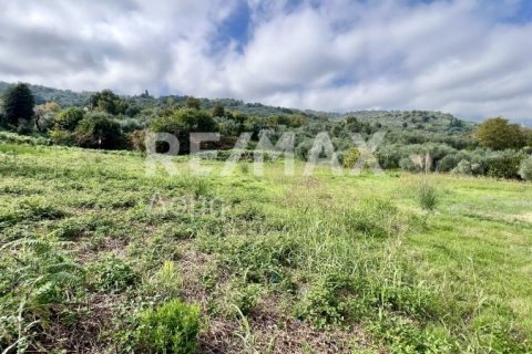 Земельный участок 5238м² в Магнисия, Греция №64923 12