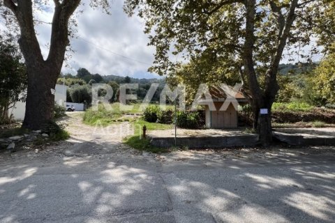 Земельный участок 5238м² в Магнисия, Греция №64923 3