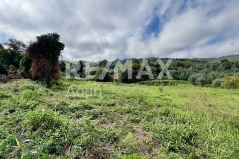 Земельный участок 5238м² в Магнисия, Греция №64923 11