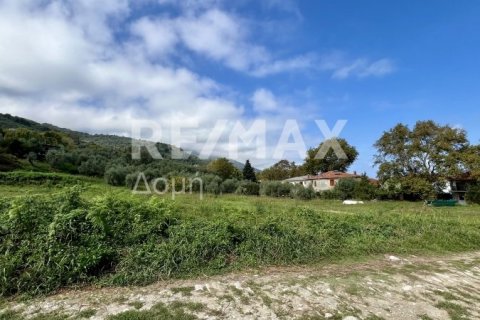 Земельный участок 5238м² в Магнисия, Греция №64923 10