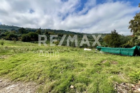 Земельный участок 5238м² в Магнисия, Греция №64923 25