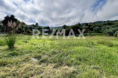 Земельный участок 5238м² в Магнисия, Греция №64923 17