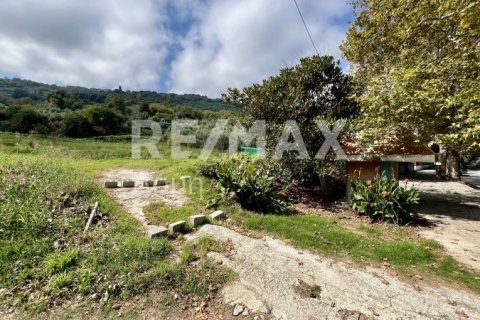 Земельный участок 5238м² в Магнисия, Греция №64923 5