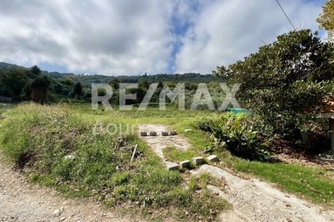 Земельный участок 5238м² в Магнисия, Греция №64923 4