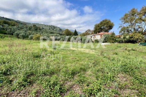 Земельный участок 5238м² в Магнисия, Греция №64923 13