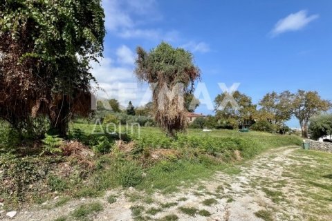 Земельный участок 5238м² в Магнисия, Греция №64923 9