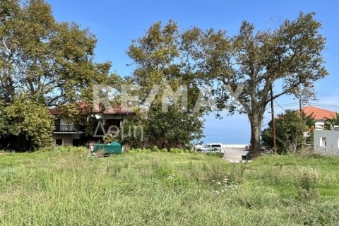 Земельный участок 5238м² в Магнисия, Греция №64923 20