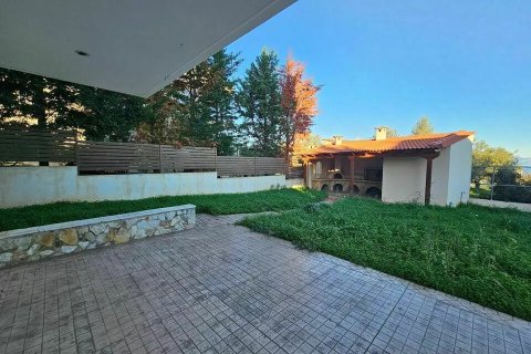 4 bedrooms Maisonette in Xylokastro, Greece No. 108247 23