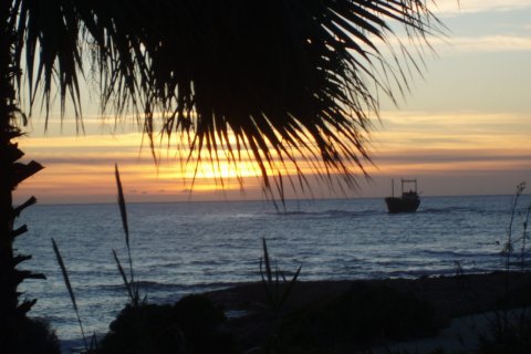 8 dormitorios House en Paphos, Cyprus No. 99341 7