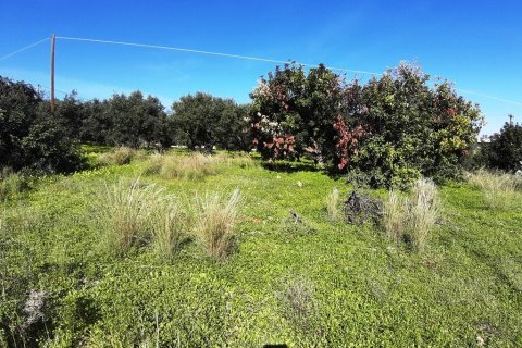 Земельный участок 24000м² в Малия, Греция №107284 3