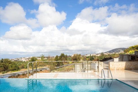 Вилла с 7 спальнями в Пафос, Кипр №105747 11