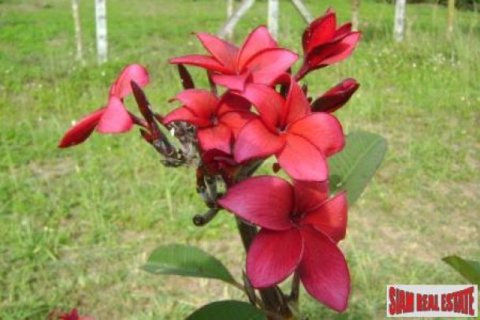 2 bedrooms Land in Chiang Dao, Thailand No. 95730 15