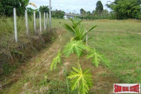 2 bedrooms Land in Chiang Dao, Thailand No. 95730 13