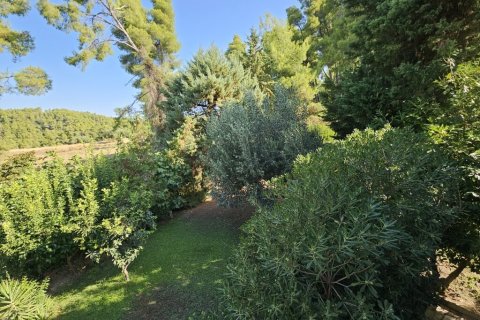 4 bedrooms Maisonette in Chalkidiki, Greece No. 107202 13