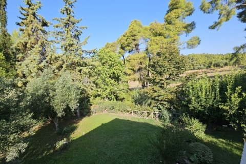 4 bedrooms Maisonette in Chalkidiki, Greece No. 107202 12