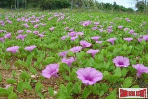 620m² Land in Krabi, Thailand No. 95664 4