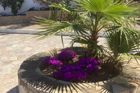 4 bedrooms Villa in Kim Son, Vietnam No. 84920 13