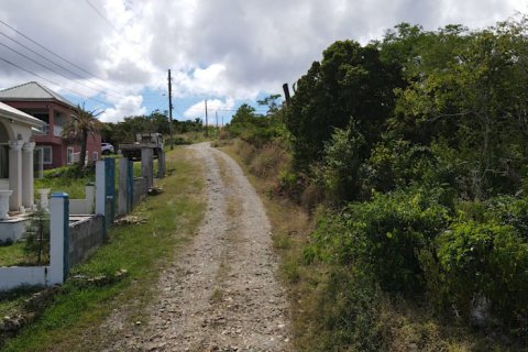 2 bedrooms Villa in Buckleys, Antigua and Barbuda No. 64971 23