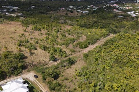 2 bedrooms Villa in Buckleys, Antigua and Barbuda No. 64971 22