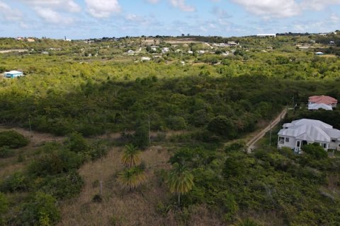 2 bedrooms Villa in Buckleys, Antigua and Barbuda No. 64971 21