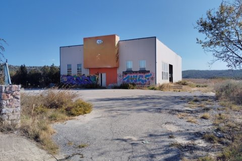 948m² Commercial property in Chalkidiki, Greece No. 108971 13