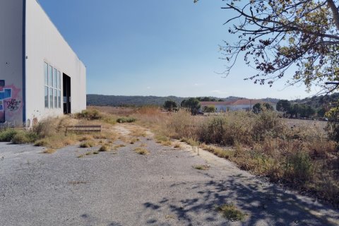 948m² Commercial property in Chalkidiki, Greece No. 108971 14