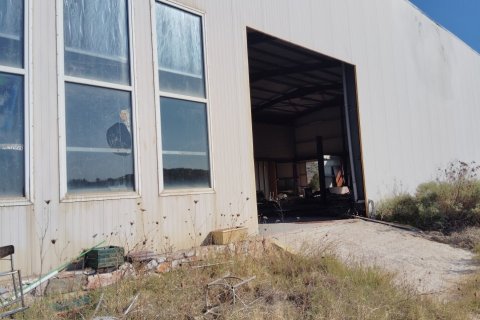 948m² Commercial property in Chalkidiki, Greece No. 108971 16