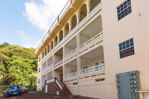 19 bedrooms Commercial property in Morne Rouge, Grenada No. 117603 4