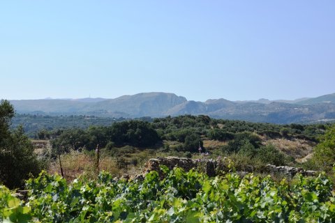4000m² Land in Rethymno, Greece No. 109570 10