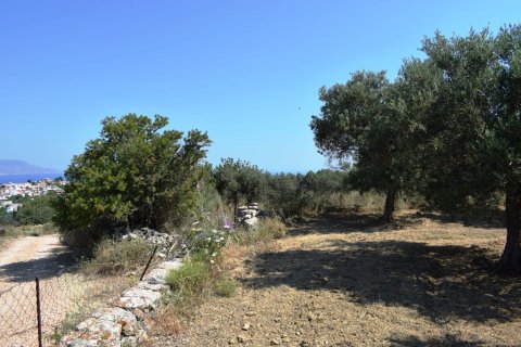 4000m² Land in Rethymno, Greece No. 109570 4