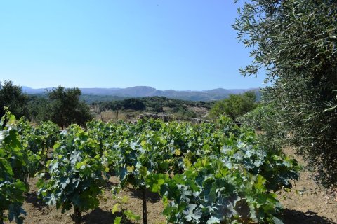 4000m² Land in Rethymno, Greece No. 109570 12