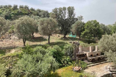 3 rooms Business in Heraklion, Greece No. 55995 11