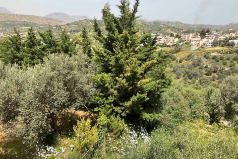 3 rooms Business in Heraklion, Greece No. 55995 19