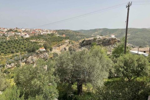 3 rooms Business in Heraklion, Greece No. 55995 21