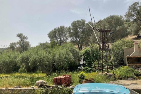 3 rooms Business in Heraklion, Greece No. 55995 25